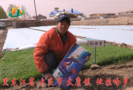 大(da)慶(qing)-太康(kang)鎮(zhen)-用戶(hu)迴訪(fang)視頻