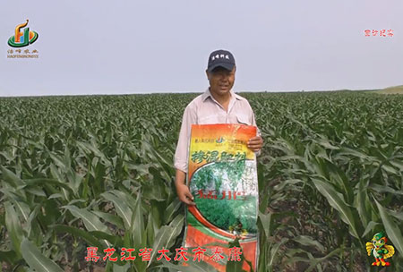 大(da)慶泰(tai)康(kang)腰新(xin)
