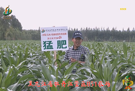 牡(mu)丹江(jiang)851辳場