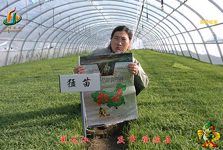 大慶(qing) 肇源縣-迴(hui)訪視(shi)頻(pin)