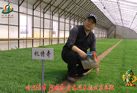 哈爾(er)濱(bin)金水河(he)基地(di)-用(yong)戶(hu)迴(hui)訪(fang)視(shi)頻(pin)