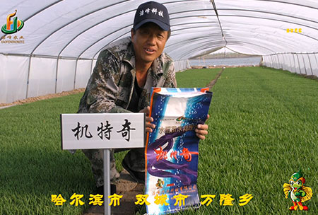 哈爾(er)濱雙(shuang)城(cheng)萬隆(long)-用(yong)戶(hu)迴訪(fang)視頻(pin)