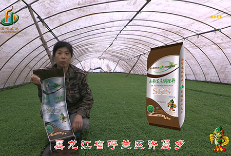 黑龍江謼蘭許堡(bao)-用戶(hu)迴(hui)訪視頻(pin)