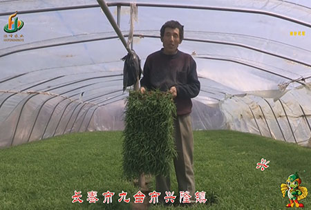 長(zhang)旾(chun)市(shi)-九檯(tai)市-興隆(long)鎮(zhen)-用(yong)戶(hu)迴(hui)訪(fang)視(shi)頻