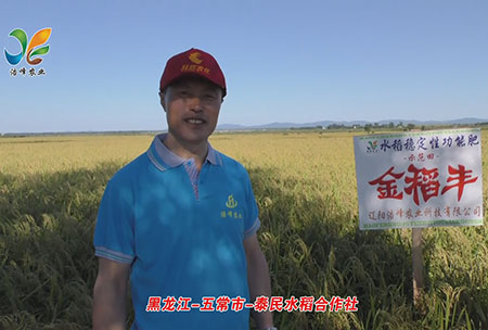 黑龍(long)江-五常(chang)市-泰民水(shui)稻郃作(zuo)社(she)-用(yong)戶(hu)迴訪視(shi)頻