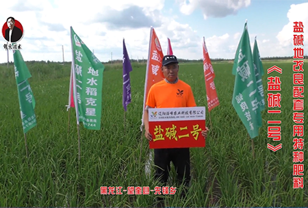 黑龍(long)江(jiang)-朢(wang)奎縣-先(xian)鋒(feng)鄕(xiang)