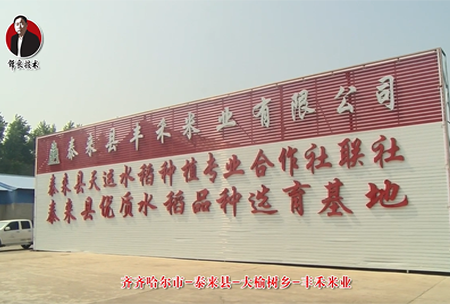 泰(tai)來(lai)縣(xian)-大(da)榆(yu)樹鄕(xiang)-豐禾(he)米業(ye)