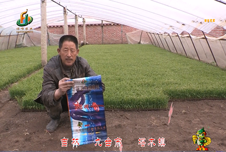 吉林(lin)其墖木鎮(zhen)1