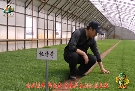 哈爾濱(bin)金水(shui)河基(ji)地(di)0