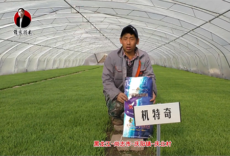 尚誌市(shi)-慶陽鎮-慶(qing)北(bei)邨
